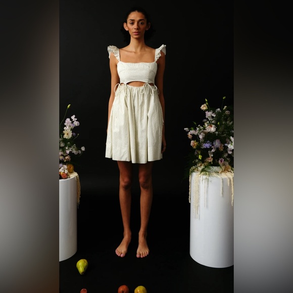 Allina Liu Dresses & Skirts - Gently used TAMAGO DRESS Size XS
